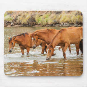 Familie der Braunen Pferde am Fluss Mousepad
