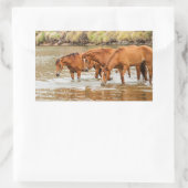 Familie der Braunen Pferde am Fluss Rechteckiger Aufkleber (Tasche)