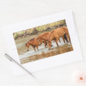 Familie der Braunen Pferde am Fluss Rechteckiger Aufkleber (Umschlag)