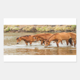 Familie der Braunen Pferde am Fluss Rechteckiger Aufkleber