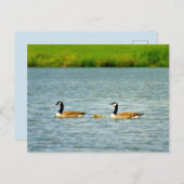 Familie der drei postkarte (Vorne/Hinten)