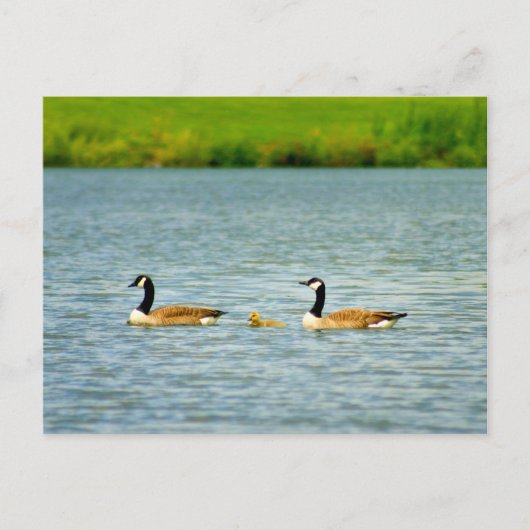 Familie der drei postkarte (Vorderseite)