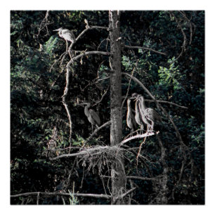 Familie der Helonen... Poster