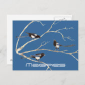 Familie der Magpies, Vögel, Natur, Wildtiere Postkarte (Vorne/Hinten)