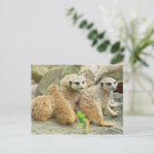 Familie der Mücken - Postkarte (Stehend Vorderseite)