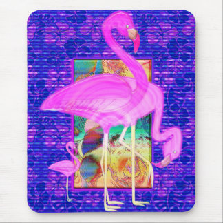 Familie der rosa Flamingo-Muscheln und der Mousepad
