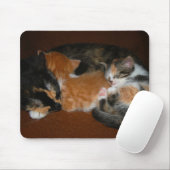 Familie der schläfrigen Kätzchen Mousepad (Mit Mouse)