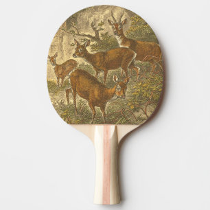 Familie des Rogens - Rotwild in einem Wald Tischtennis Schläger