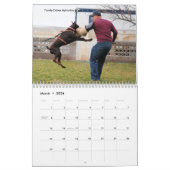 Familie Dobes Schutz-Kalender 2013 Kalender (Mär 2026)