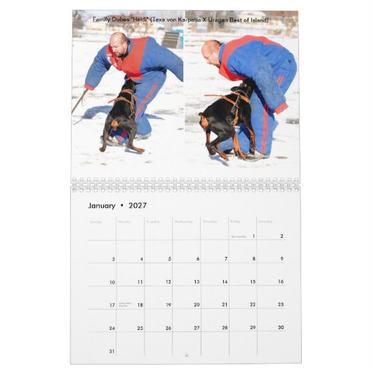 Familie Dobes Schutz-Kalender 2013 Kalender (Jan 2027)