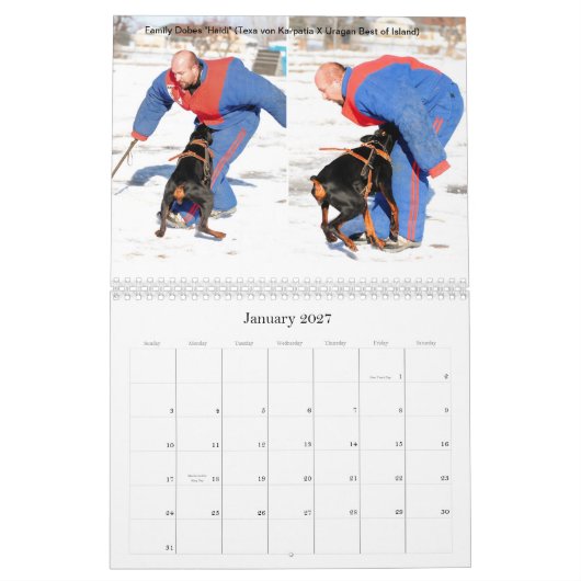 Familie Dobes Schutz-Kalender Kalender (Jan 2027)