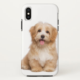 Familie Dog Ihr Foto Case-Mate iPhone Hülle