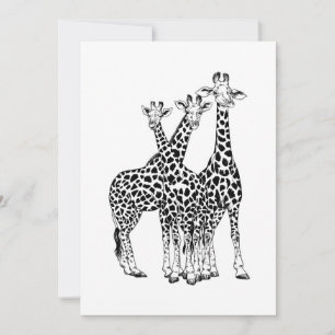 Familie Giraffe