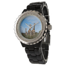Familie Giraffe auf Grassy Hilltop