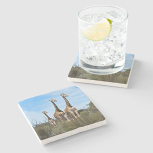Familie Giraffe auf Grassy Hilltop Steinuntersetzer
