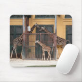 Familie Giraffe Mousepad (Mit Mouse)