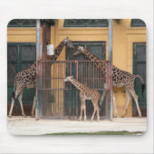 Familie Giraffe Mousepad (Vorne)