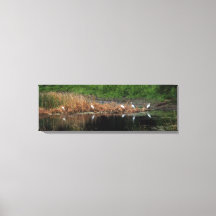 Familie Heron - rechts