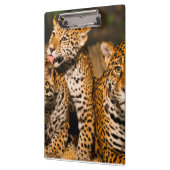 Familie Jaguar Klemmbrett (Links)