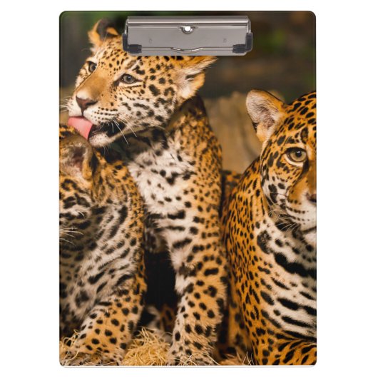 Familie Jaguar Klemmbrett (Vorderseite)