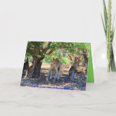 Familie Kangaroo Happy Birthday Spaß Karte (Rückseite)