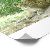 Familie Löwen Poster (Ecke)