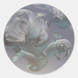 Familie Manatee Runder Aufkleber