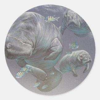 Familie Manatee Runder Aufkleber