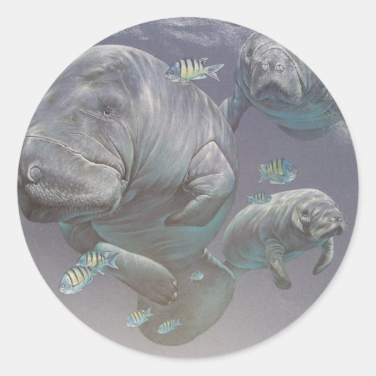 Familie Manatee Runder Aufkleber (Vorderseite)
