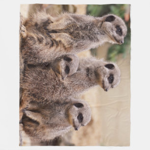 Familie Meerkat Fleecedecke