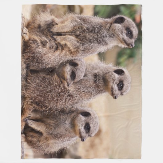 Familie Meerkat Fleecedecke (Vorderseite)