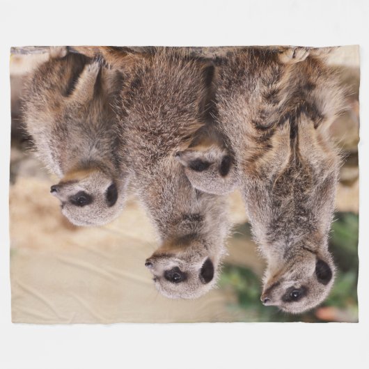Familie Meerkat Fleecedecke (Vorderseite (Horizontal))