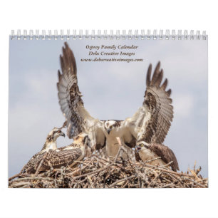 Familie Osprey 2025 Kalender