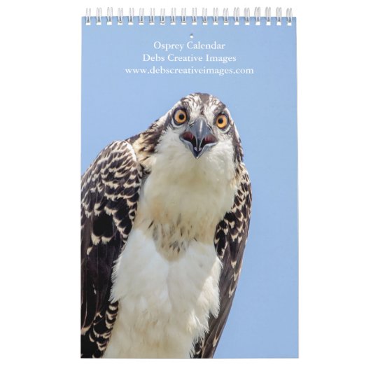 Familie Osprey 2026 Kalender (Titelbild)