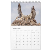 Familie Osprey 2026 Kalender (Jan 2027)