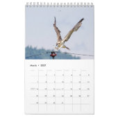 Familie Osprey 2026 Kalender (Mär 2027)