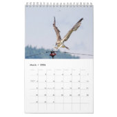Familie Osprey 2026 Kalender (Mär 2026)