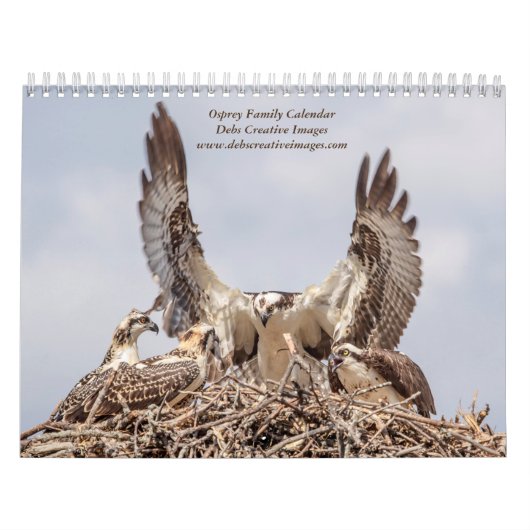 Familie Osprey 2026 Kalender (Titelbild)