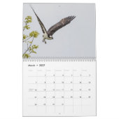 Familie Osprey 2026 Kalender (Mär 2027)