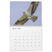 Familie Osprey 2026 Kalender (Jan 2027)