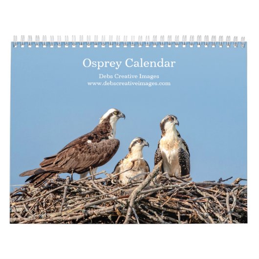 Familie Osprey 2026 Kalender (Titelbild)