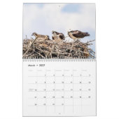 Familie Osprey 2026 Kalender (Mär 2027)