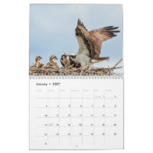 Familie Osprey 2026 Kalender (Jan 2027)