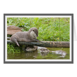 Familie Otter