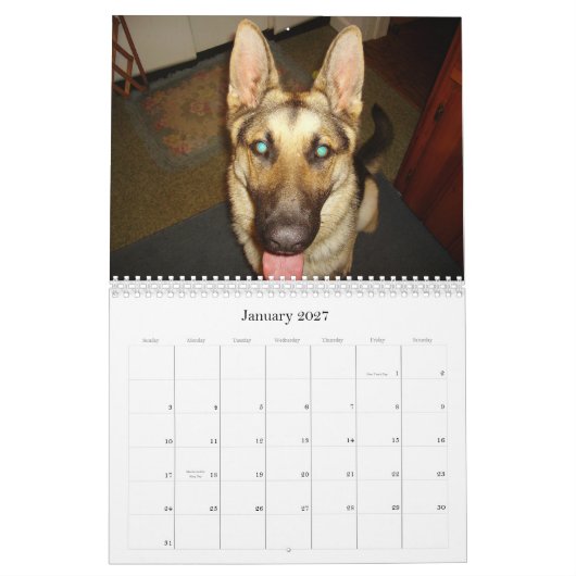 Familie Pets 2010 Kalender 2 (Jan 2027)