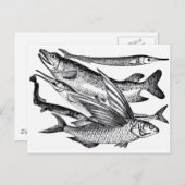 Familie Pike - Fisch Postkarte (Vorne/Hinten)
