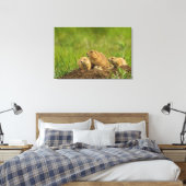 Familie Prairie Dog in Den Leinwanddruck (Insitu (Schlafzimmer))