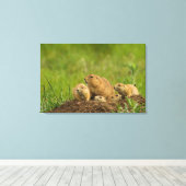 Familie Prairie Dog in Den Leinwanddruck (Insitu (Holzboden))