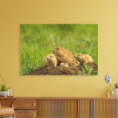 Familie Prairie Dog in Den Leinwanddruck (Insitu (Wohnzimmer))