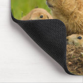 Familie Prairie Dog in Den Mousepad (Ecke)